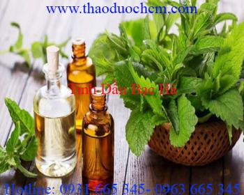 Mua bán tinh dầu bạc hà tại hải phòng hỗ trợ massage cho em bé rất tốt