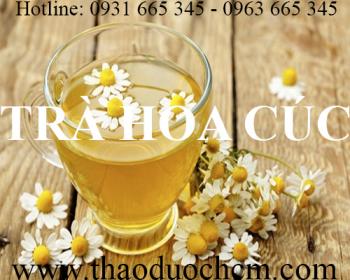 Mua bán trà hoa cúc khô tại quận đống đa giúp sáng mắt hiệu quả nhất