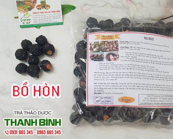 Bồ hòn [công dụng cách dùng] địa chỉ mua bán giá rẻ ở đâu?