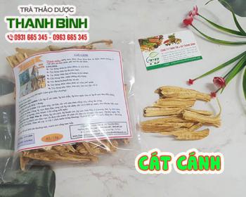 Cát cánh [công dụng trị bệnh đường hô hấp] địa chỉ mua bán giá rẻ nhất?