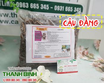 Câu đằng [công dụng, cách dùng, địa chỉ mua bán tốt nhất] mua ở đâu?