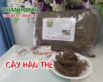 Mua bán cây hàn the tại quận 1 hỗ trợ thanh nhiệt cơ thể, thải độc tố