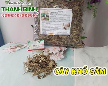 Mua cây khổ sâm ở đâu tại tphcm?