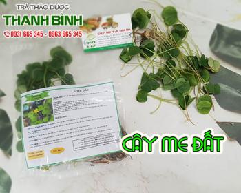 Mua cây me đất ở đâu tại tphcm ???