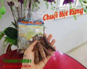 Chuối hột rừng ngâm rượu có tác dụng gì?