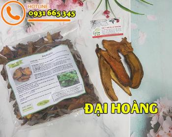 đại hoàng giúp tăng cường sức khỏe lưu thông khí huyết