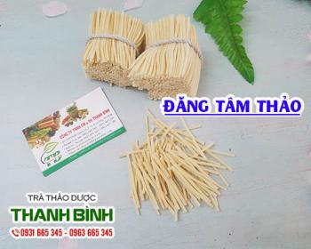 Mua bán đăng tâm thảo ở huyện cần giờ giúp kháng viêm trị ho và viêm họng