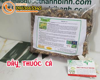 Dây thuốc cá [công dụng, cách dùng, mua ở đâu] địa chỉ bán giá rẻ nhất?