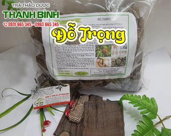 đỗ trọng giúp mạnh gân cốt bổ thận và giảm đau nhức xương khớp