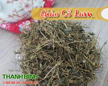 Giảo cổ lam - thảo dược thần kỳ giúp đẩy lùi bệnh tiểu đường và mỡ máu