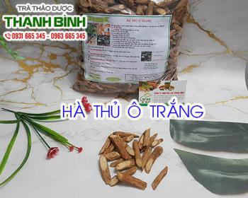 Hà thủ ô trắng [tác dụng cách sử dụng] mua ở đâu giá rẻ nhất?