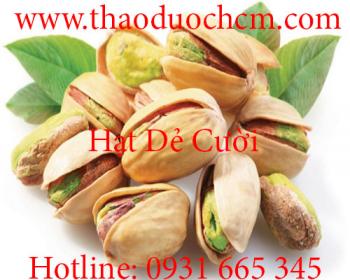 Mua bán hạt dẻ cười tại huyện cần giờ có tác dụng rất tốt cho tim mạch