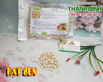 Mua hạt sen ở đâu tại tphcm?