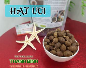 Hạt ươi có tác dụng gì trong việc chăm sóc sức khỏe
