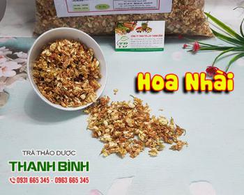 Tác dụng của hoa nhài trong điều trị huyết áp cao và hạ sốt hiệu quả nhất