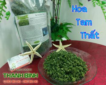 Công dụng của hoa tam thất trị mất ngủ