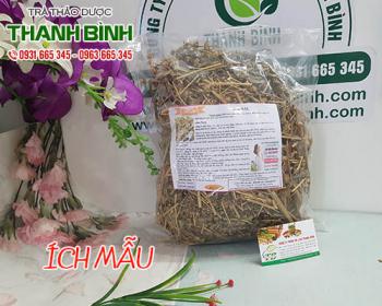 Mua ích mẫu ở đâu tại tphcm?