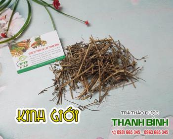 Mua kinh giới giá rẻ uy tín chất lượng nhất ở đâu?