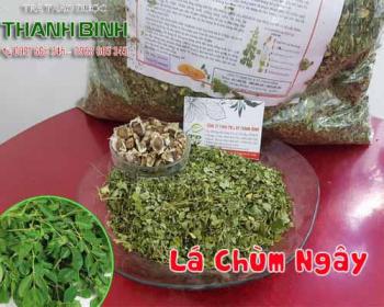 Lá chùm ngây bán ở đâu? địa chỉ bán lá chùm ngây tại tphcm uy tín chất lượng