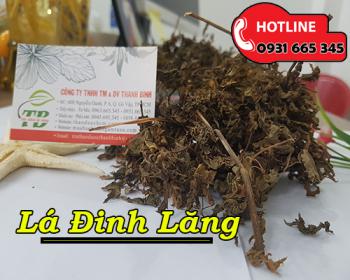 Lá đinh lăng - vị thuốc tốt cho hệ tiêu hóa, bổ máu và an thần hiệu quả
