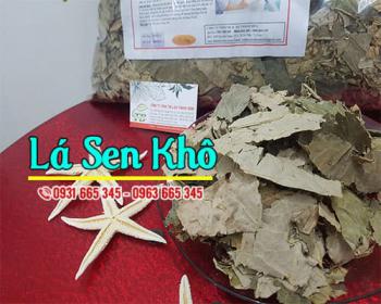 Lá sen khô có tác dụng chữa mất ngủ và giảm cân hiệu quả