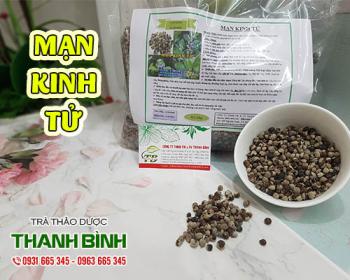 Vị thuốc mạn kinh tử và những công dụng nổi bật cho sức khỏe