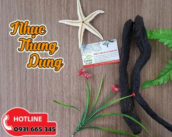Nhục thung dung tăng cường sinh lý và tăng tuần hoàn máu
