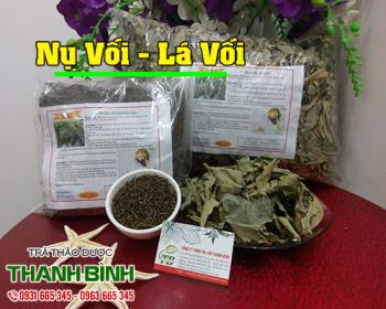 Nụ vối lá vối tốt cho bệnh nhân bị tiểu đường và lợi tiêu hóa hiệu quả