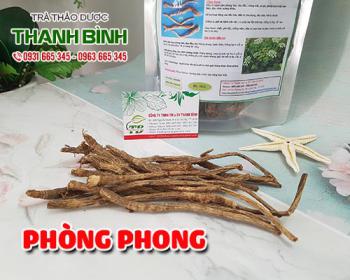 Mua bán phòng phong tại tphcm uy tín chất lượng tốt nhất