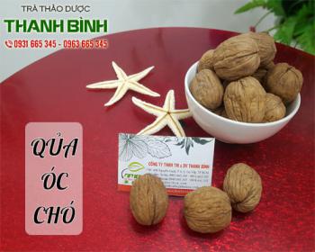 Quả óc chó mua ở đâu để đảm bảo chất lượng cho sức khỏe ?