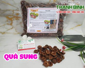 Mua bán quả sung ở huyện nhà bè giúp phòng ngừa ung thư, bổ máu rất tốt