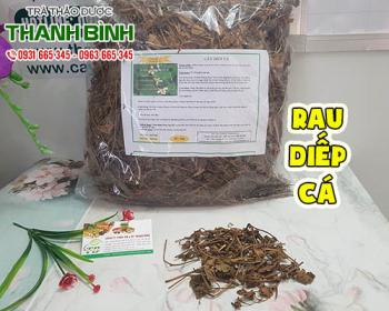 Mua rau diếp cá giá rẻ uy tín chất lượng nhất ở đâu?