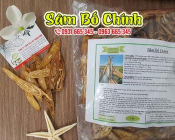 Mua sâm bố chính ở đâu tại tphcm ???