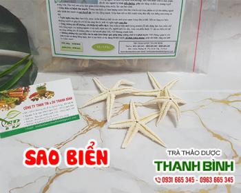 Mua bán sao biển tại huyện thạch thất hỗ trợ phòng ngừa ung thư rất tốt