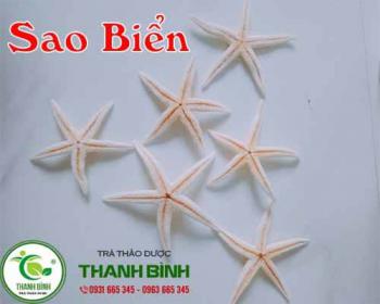Mua sao biển ở đâu tại tphcm ???