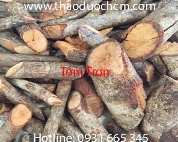 Mua bán tơm trơn tại quận gò vấp có tác dụng tráng dương hiệu quả nhất