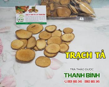 Mua bán trạch tả tại quận 1 có tác dụng lợi tiểu giảm tiểu buốt rất tốt