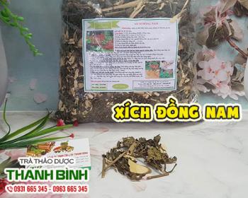 Xích đồng nam [trị bệnh phụ nữ cách sử dụng] mua ở đâu chất lượng?