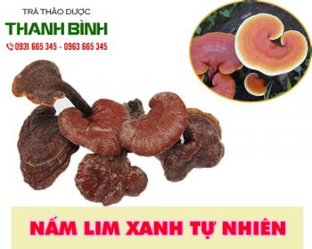 Mua bán nấm lim xanh ở quận gò vấp hỗ trợ điều trị xơ vữa động mạch