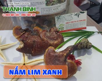 Mua bán nấm lim xanh tại huyện đông anh tốt cho bệnh nhân tiểu đường