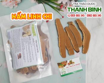 Mua nấm linh chi ở đâu tại tphcm?