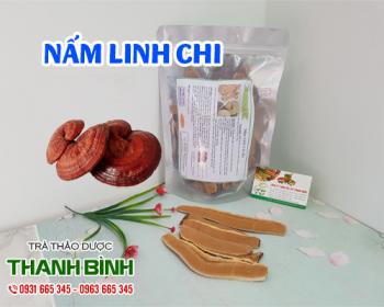 Mua bán nấm linh chi tại quận 12 giúp phòng ngừa bệnh vặt và giảm mỡ máu