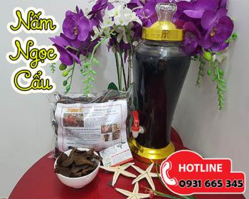 Nấm ngọc cẩu - bồi bổ sức khỏe tăng cường sinh lý cho cả nam và nữ