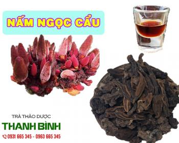 Mua bán nấm ngọc cẩu ở huyện nhà bè trị chứng chân tay tê bì hiệu quả