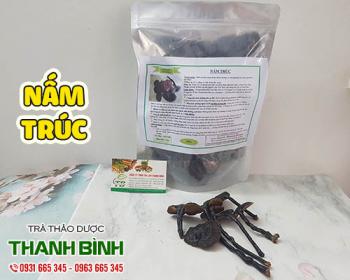 Nấm trúc [tác dụng cách dùng địa chỉ mua bán tốt nhất] mua ở đâu ?