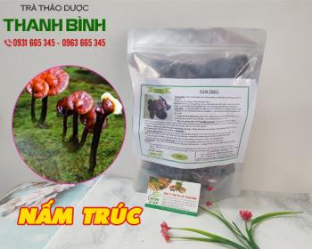 địa điểm bán nấm trúc giúp bồi bổ sức khoẻ uy tín chất lượng nhất