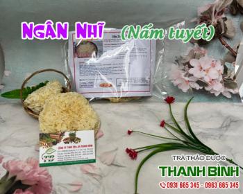 địa điểm bán ngân nhĩ giúp tăng cường sức khỏe hiệu quả tốt nhất