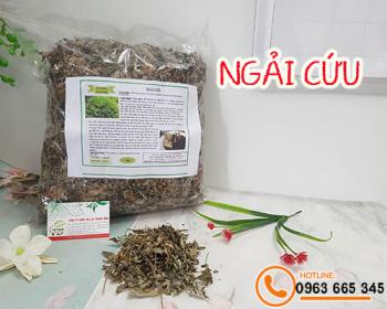 Mua ngải cứu ở đâu tại tphcm ???