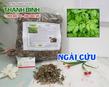 địa điểm bán ngải cứu giúp giảm cân, giảm đau bụng kinh uy tín chất lượng