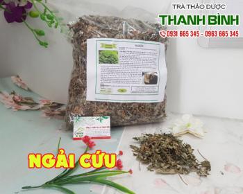 Mua bán ngải cứu tại quận 4 có tác dụng điều trị đau nhức mỏi xương cơ